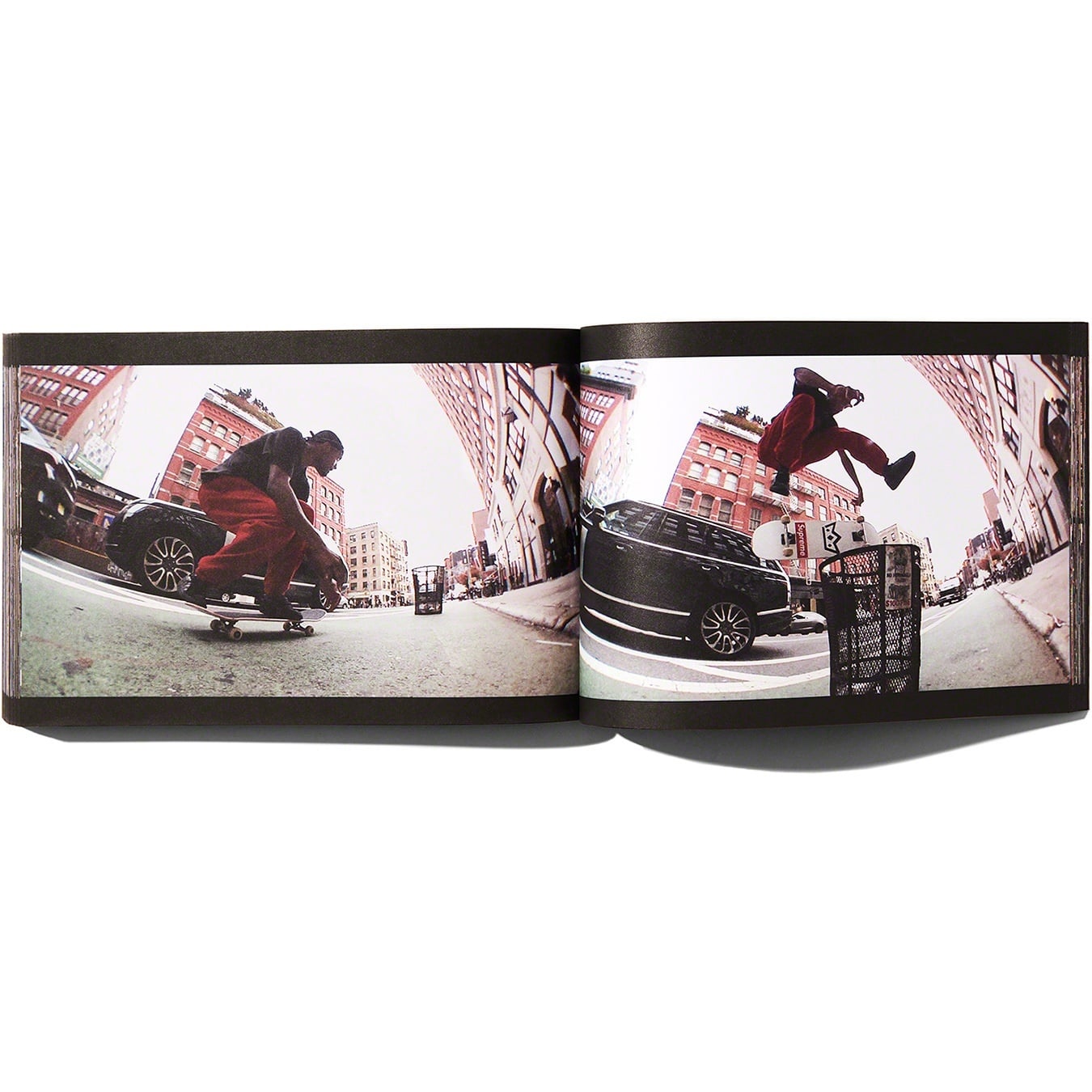 "Play Dead" Book view 8